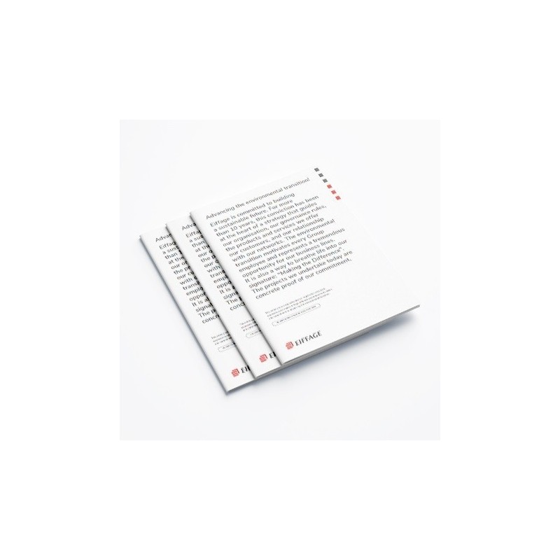 Document d'enregistrement universel DEU 2020 version anglaise. [Lot de 5 pièces]