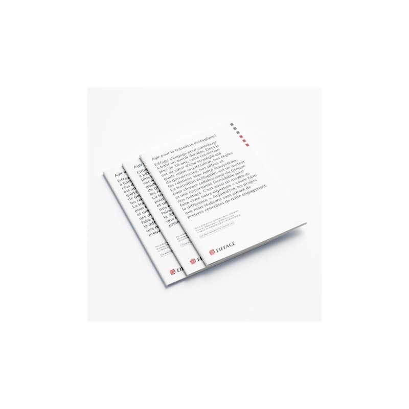 Document d'enregistrement universel DEU 2020 version française [Lot de 2 pièces]