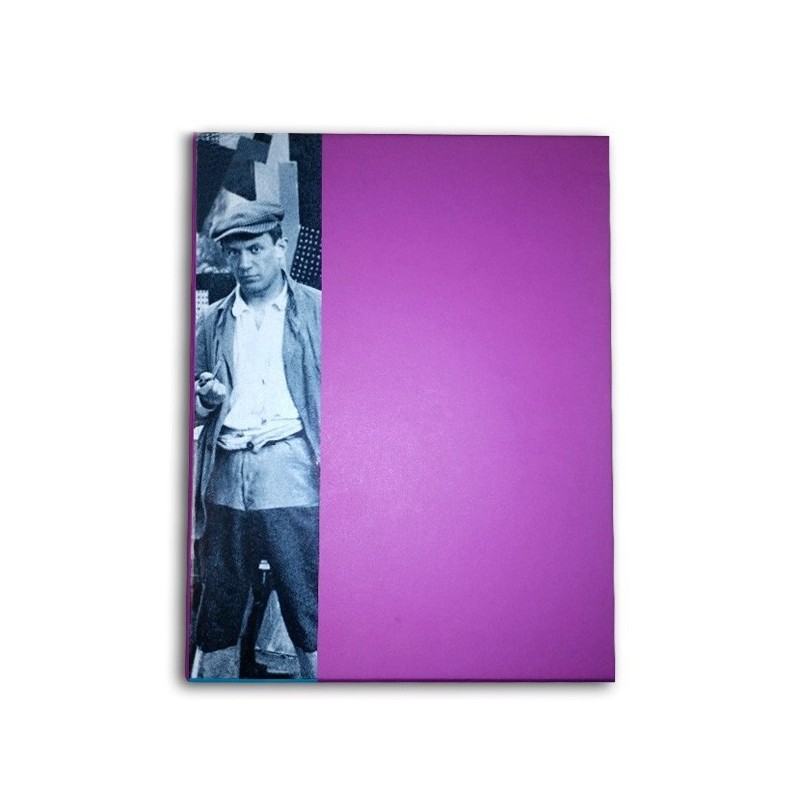 Livre Picasso Luxe